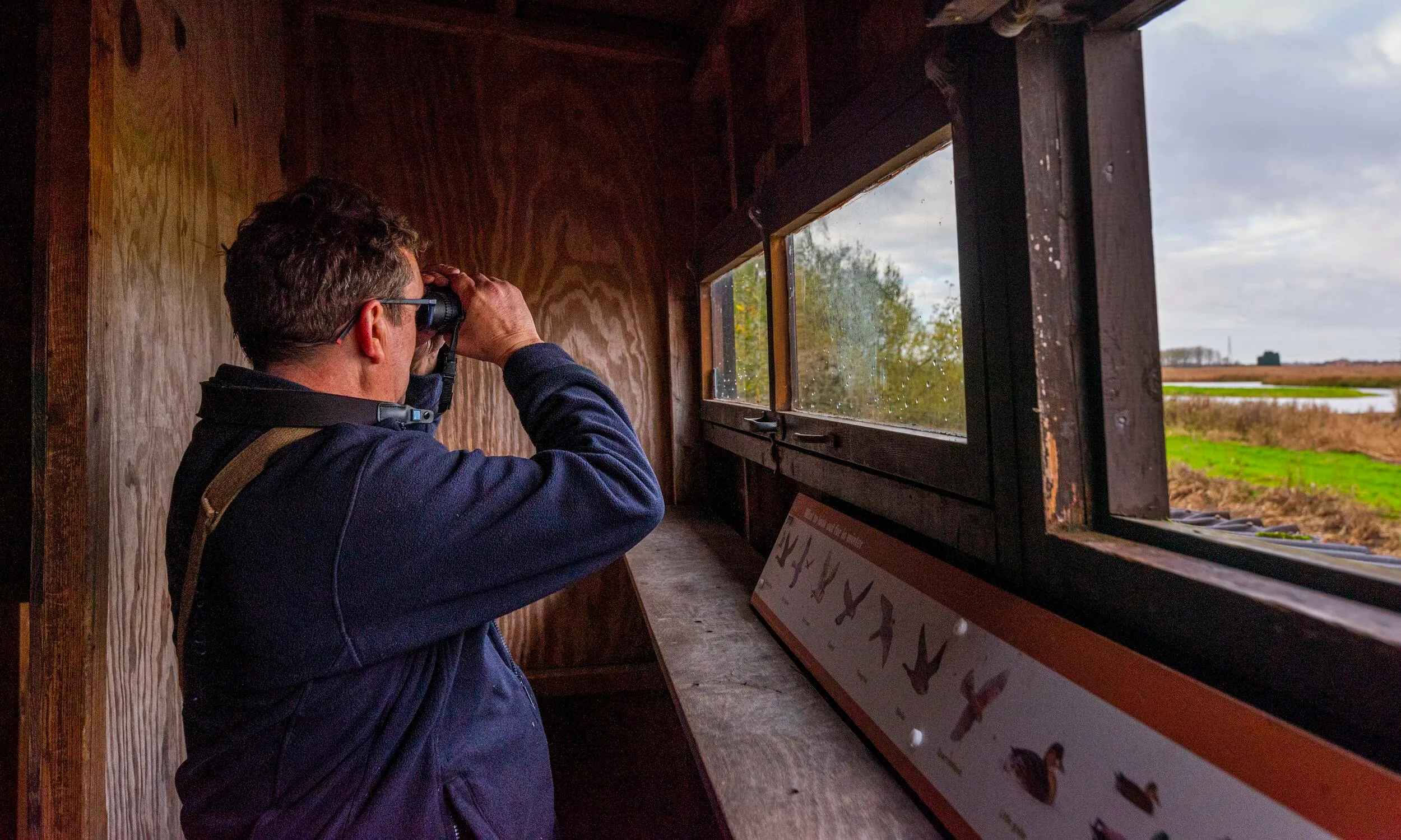 A person standing in a bird hide, looking out through a pair of binoculars 