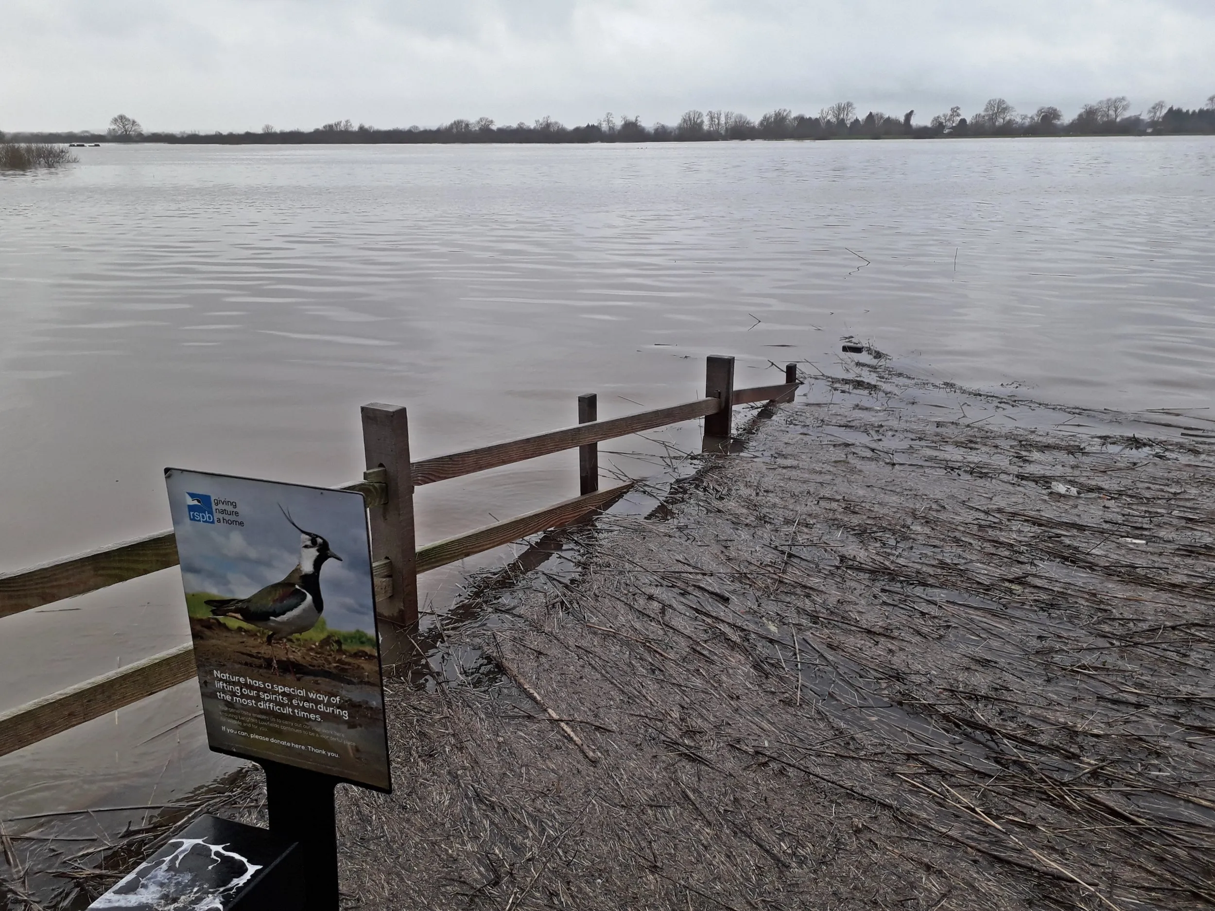 A viewing platform at RSPB Langford Lowfields submerged under flood water. 