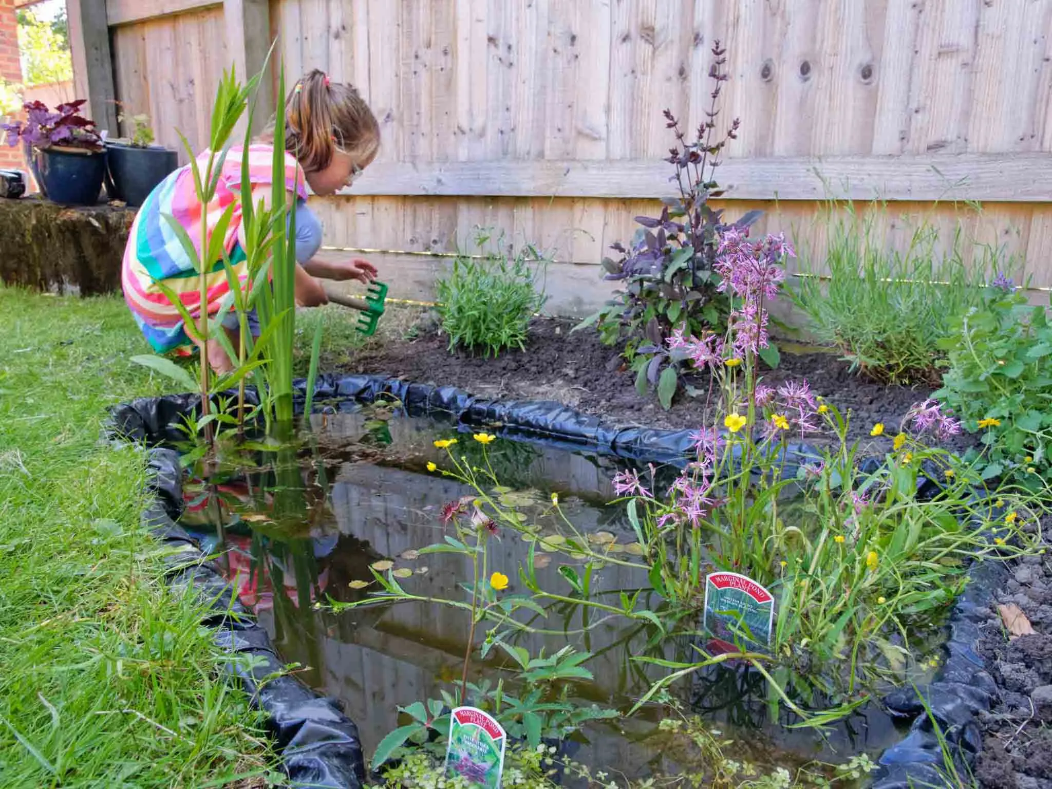 A child planting around a newly installed pond in the garden.