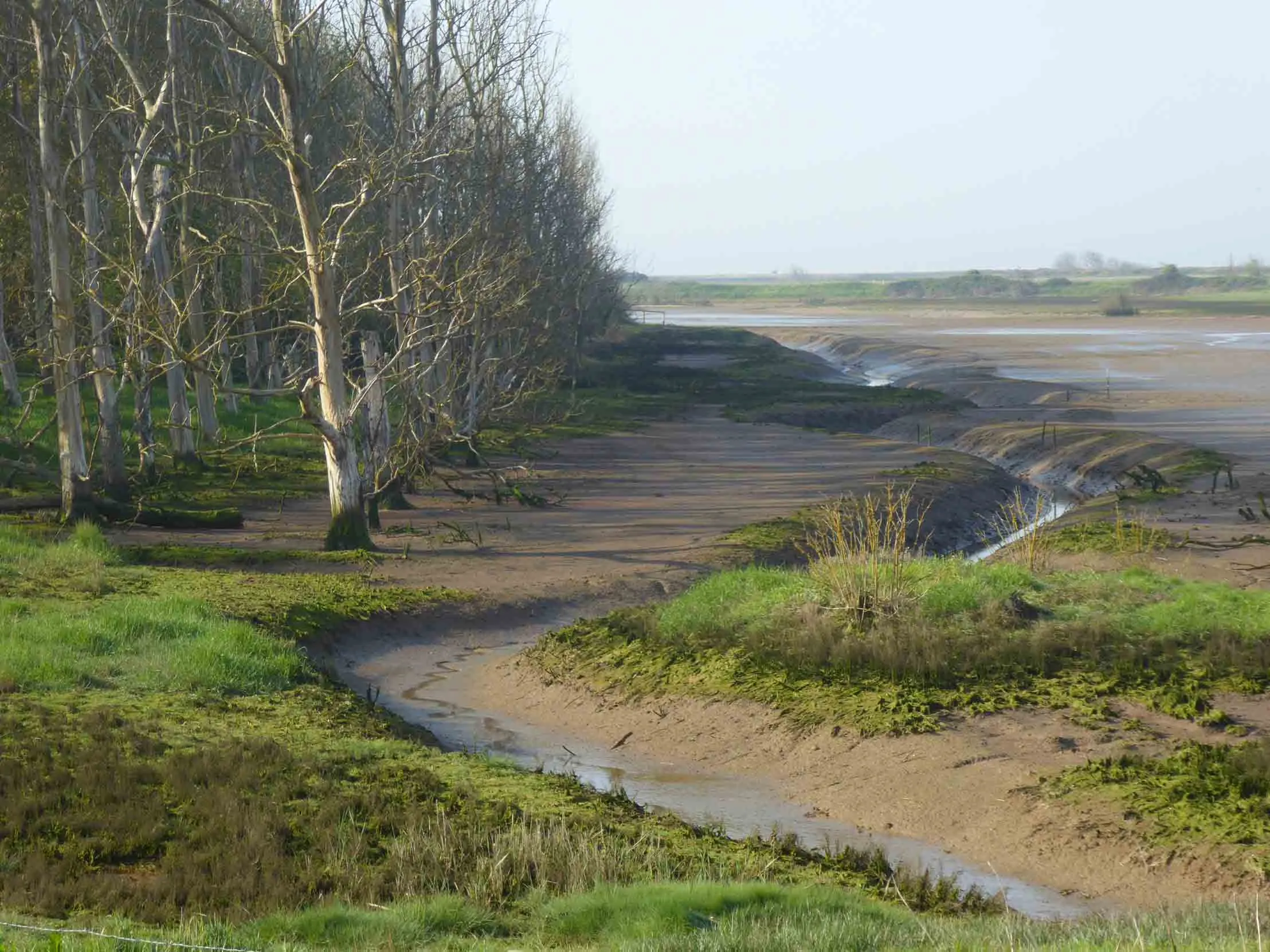 The view of the winding creek at Medmerry nature reserve. showing a mud path between grass banks with trees either side.