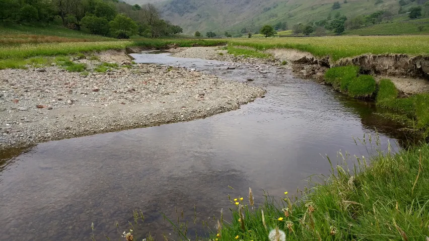 Re-wriggled river for nature at Haweswater, surrounded by grassland and a rocky bed.