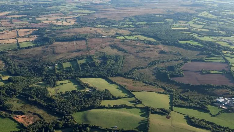 Aerial view of Aylesbeare Common, a patchwork of greens and purples separated by sections of woodland and hedgerows.