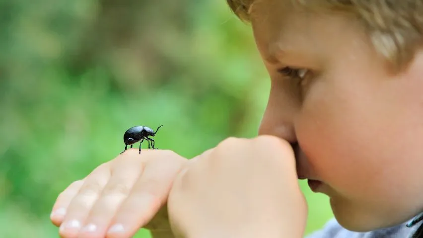 A young child with a beetle on the back of their hand.