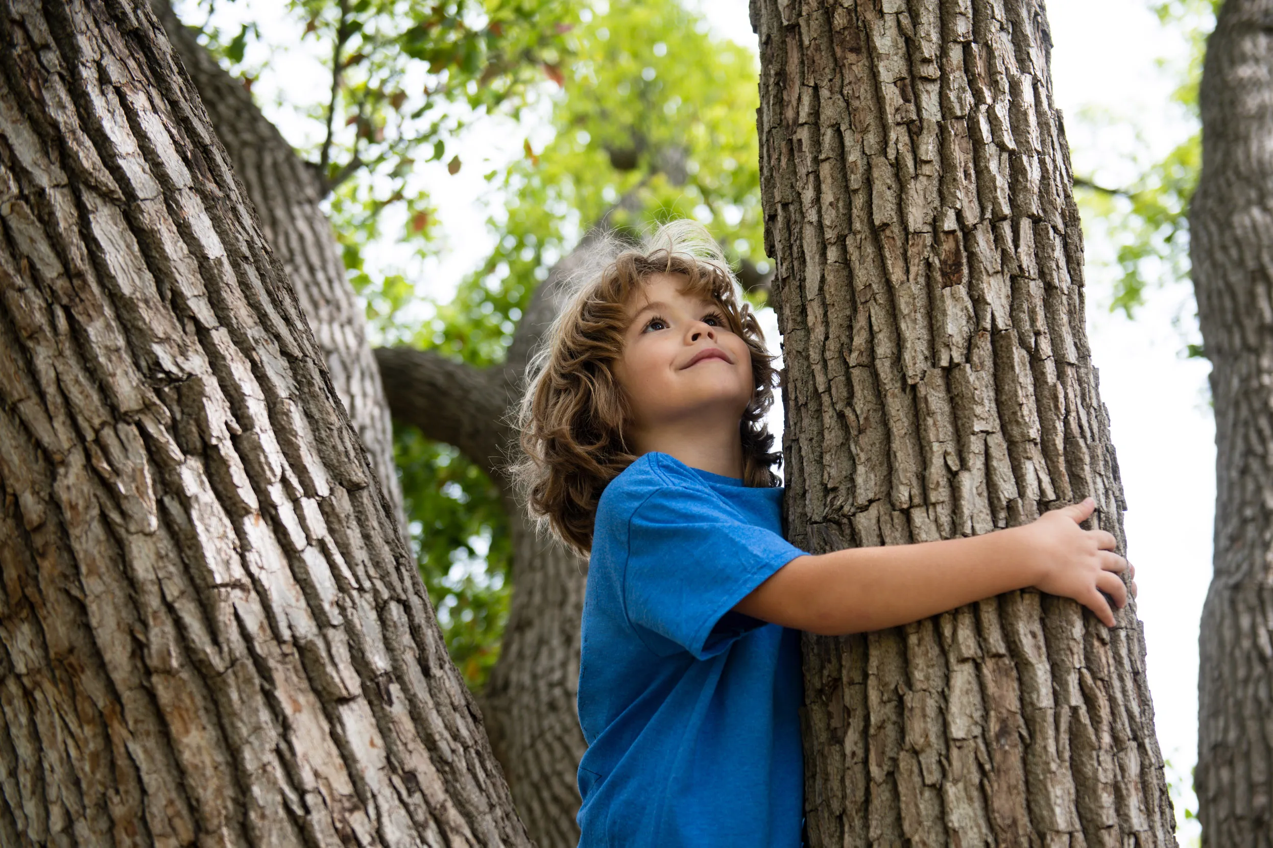 A child with their arms wrapped around a thick tree trunk.