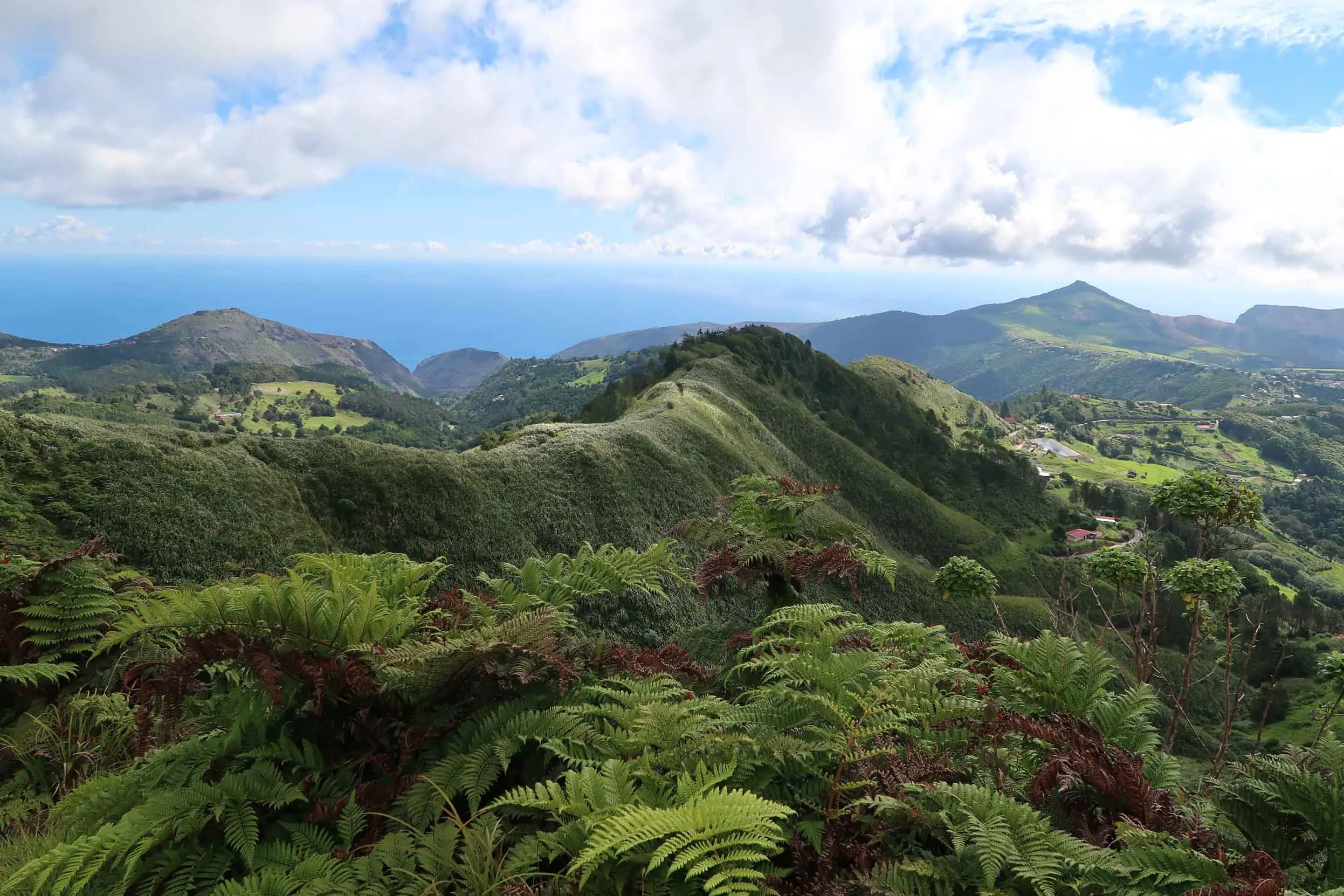 The view of Diana's Peak, St Helena Island, surrounded by lush greenery and cloudy blue skies.